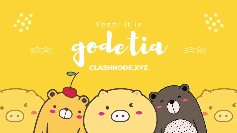 GODETIA 机场 GODETIA 机场