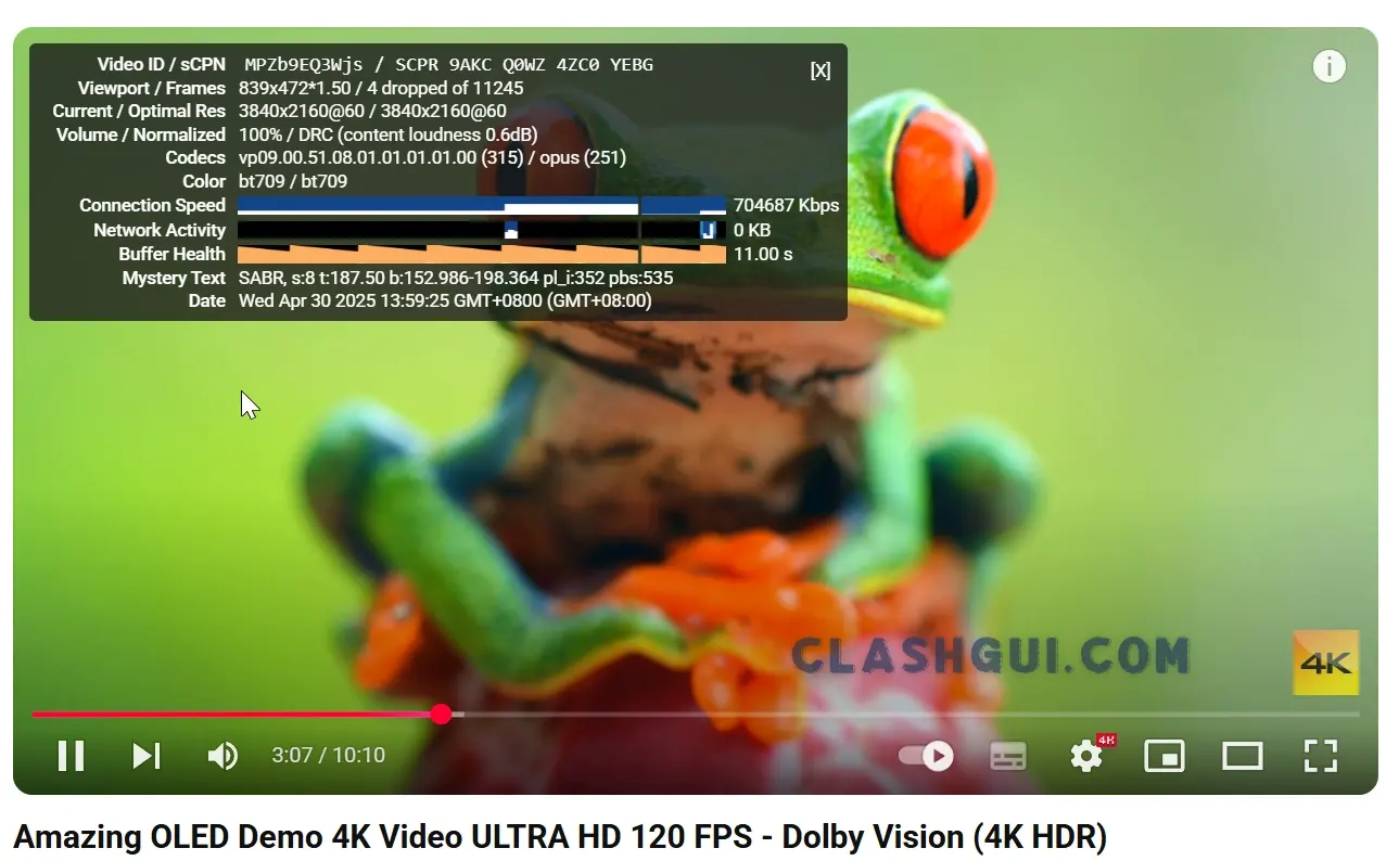 Godetia 机场 YouTube 4K 播放测试 Godetia 机场 YouTube 4K 播放测试