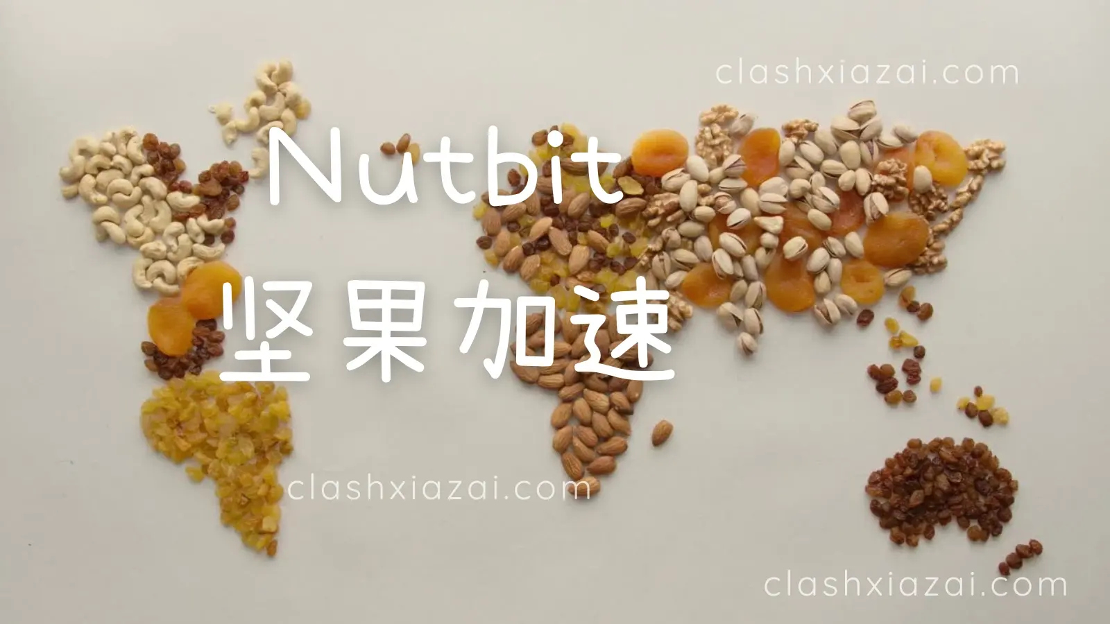 Nutbit 坚果机场加速器 Nutbit 坚果机场加速器